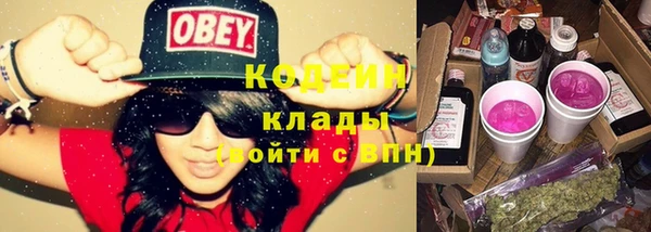 гидра Усмань